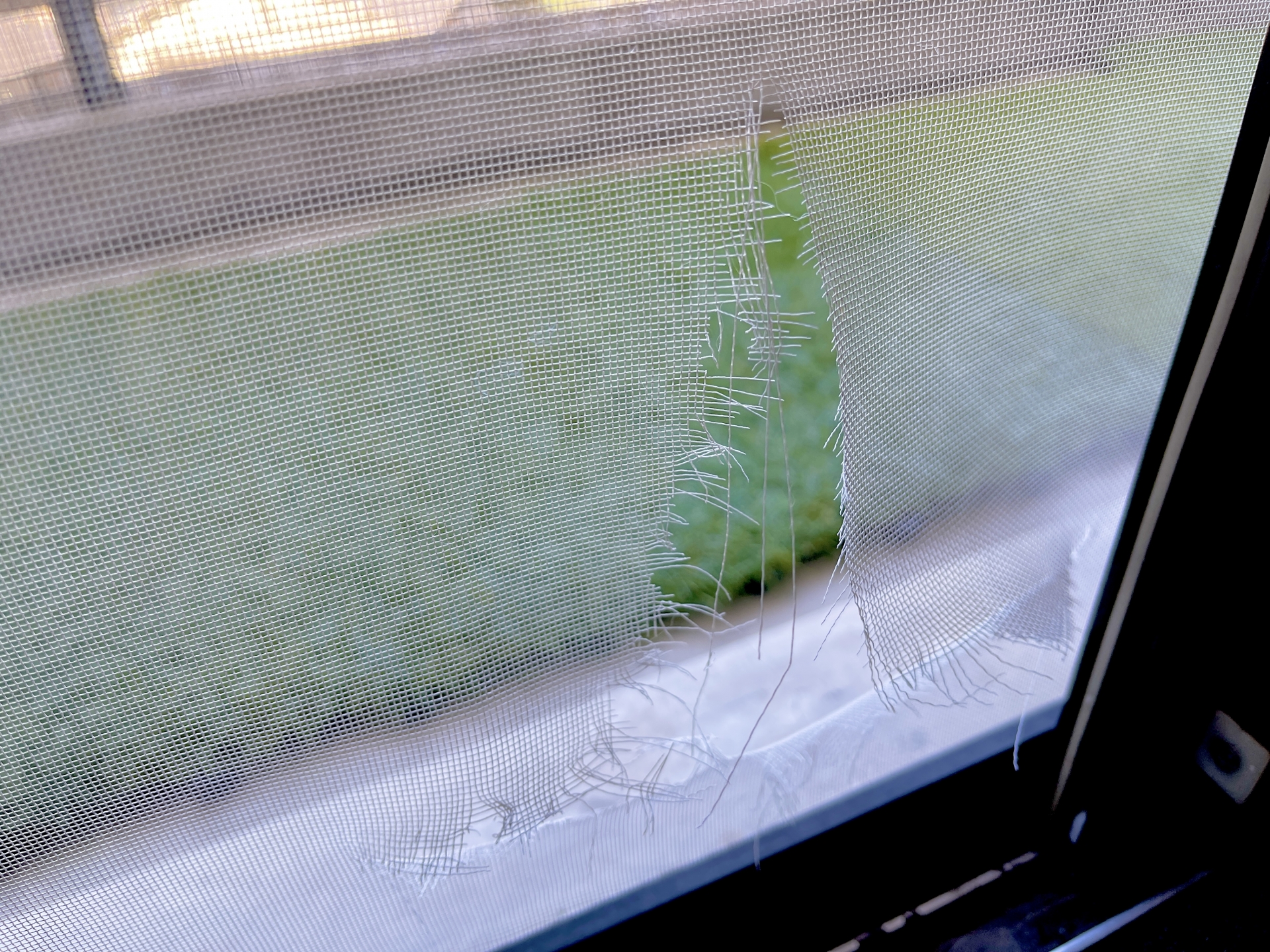 [網戸張替え,害虫対策,杉並区,便利屋]